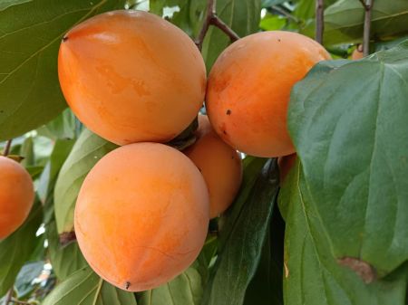 微信圖片_20251021141240 微信圖片_20251021141240